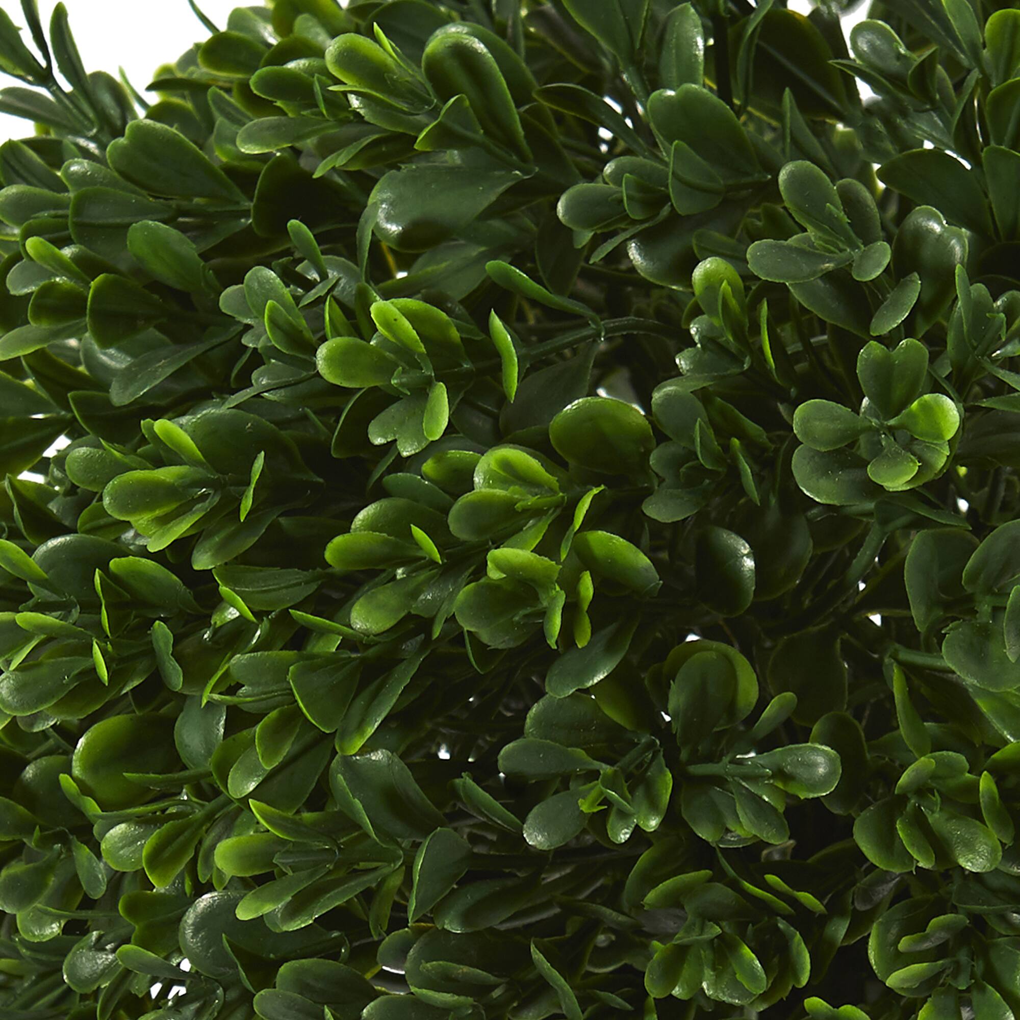 10” Potted Boxwood Topiary Plant